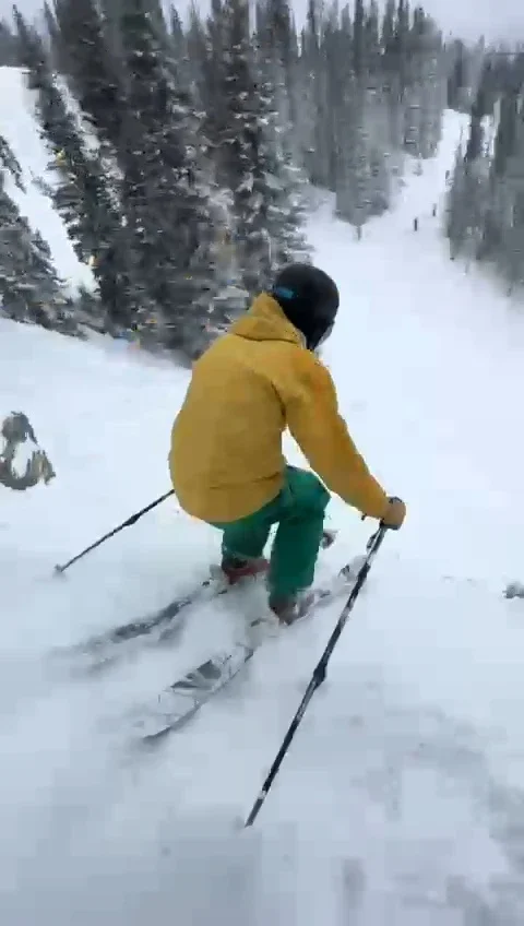 Skier descending fresh snow through trees