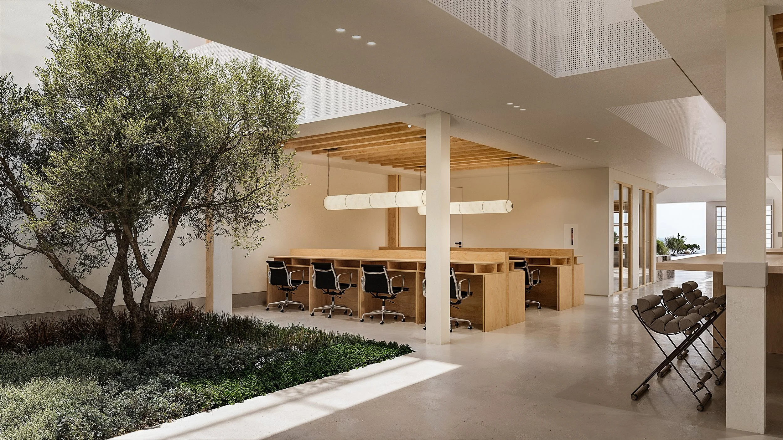 Bay Street Office — olive tree and planting beside the open-plan desks, Arts District, Downtown Los Angeles