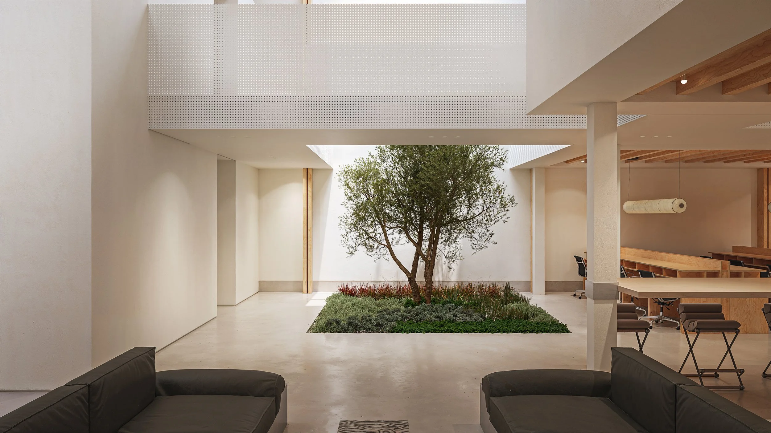 Bay Street Office — planted atrium with an olive tree beneath a skylit light well, Arts District, Downtown Los Angeles