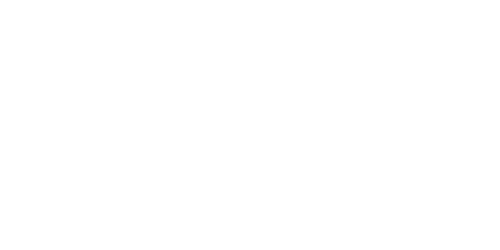 Nighthawk