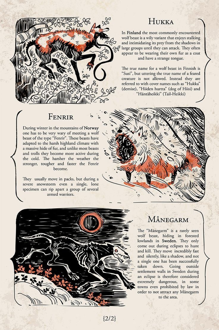 Mystic Forest