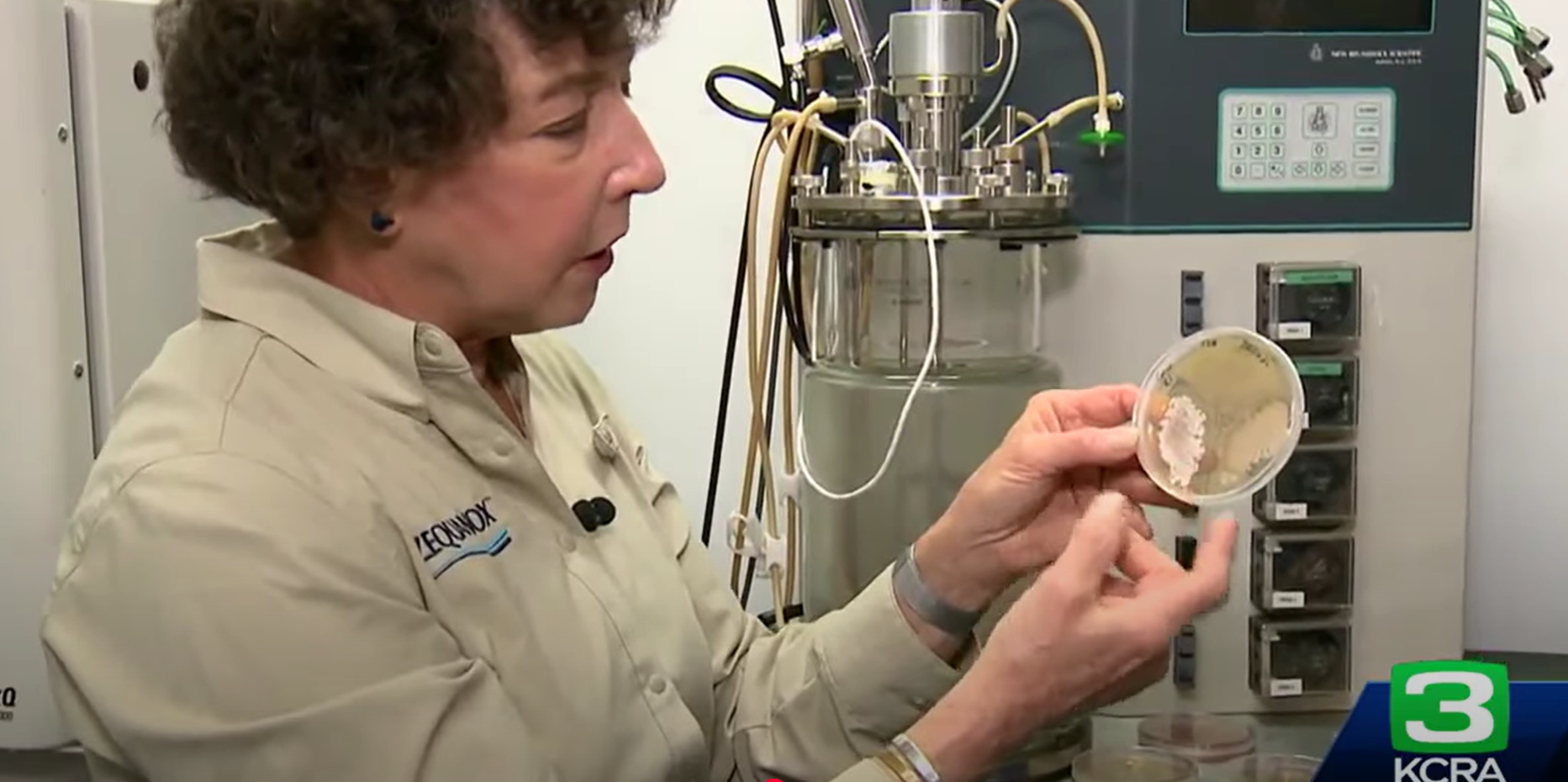 KCRA Golden Mussels Video Featuring ISC