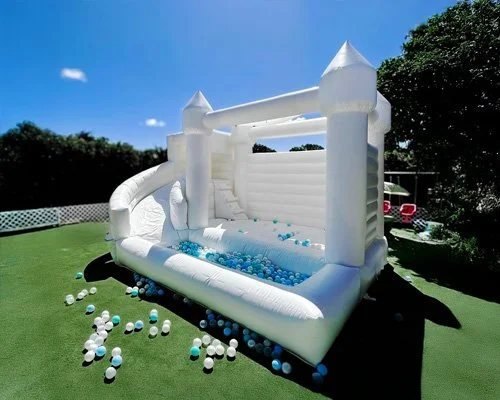 Twisty Castle bounce house — 16x12 inflatable with slide and high soft walls for active play