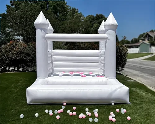 Twin Delight bounce house with ball pit