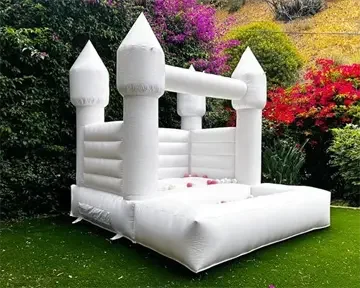 Twin Delight Small bounce house with ball pit