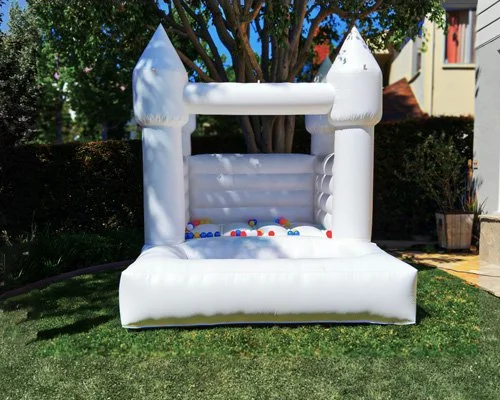 Twin Delight Small bounce house setup in backyard with shade and trees