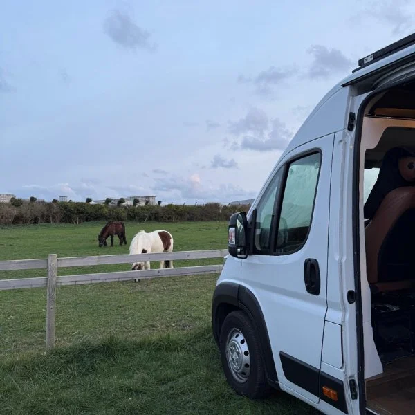 Campervan parked by a field of ponies
