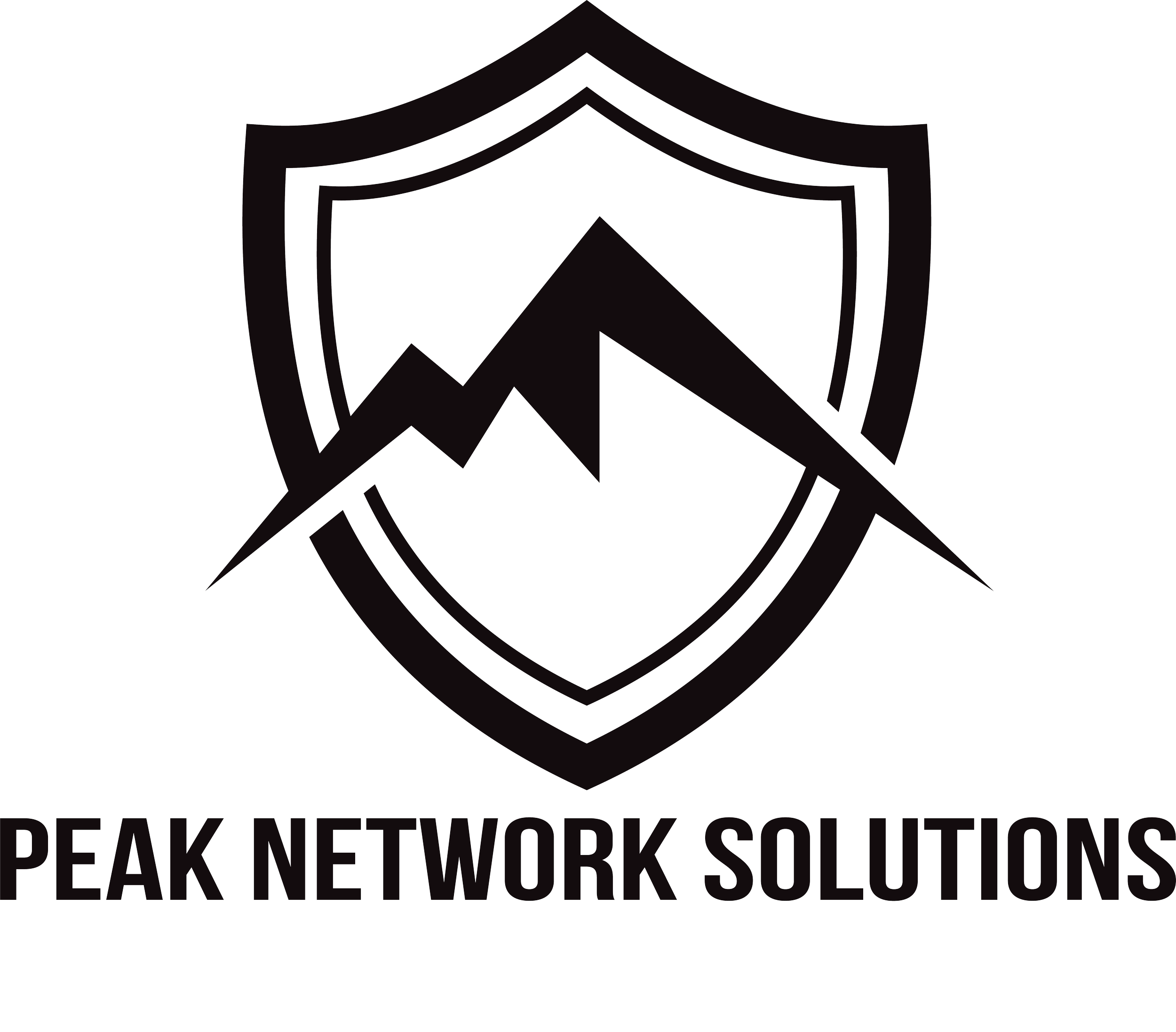 PEAK Network Solutions logo