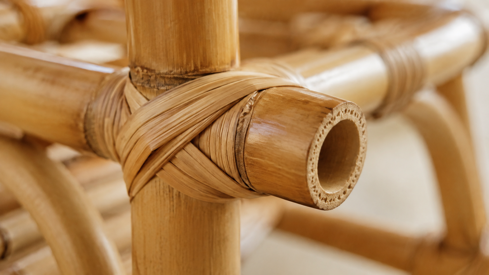 Close view of a bamboo chair joint showing the node, wall thickness, and rattan peel binding