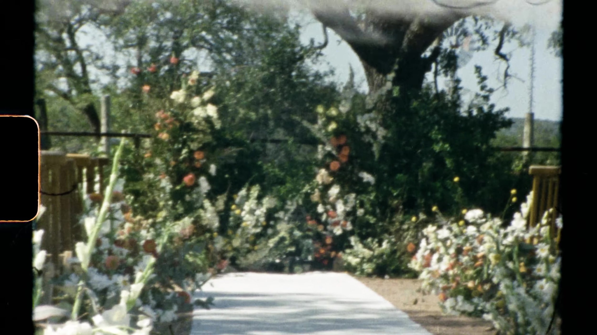 Empty ceremony aisle with white runner and floral altar under trees at Camp Lucy Vineyards in Austin, Texas