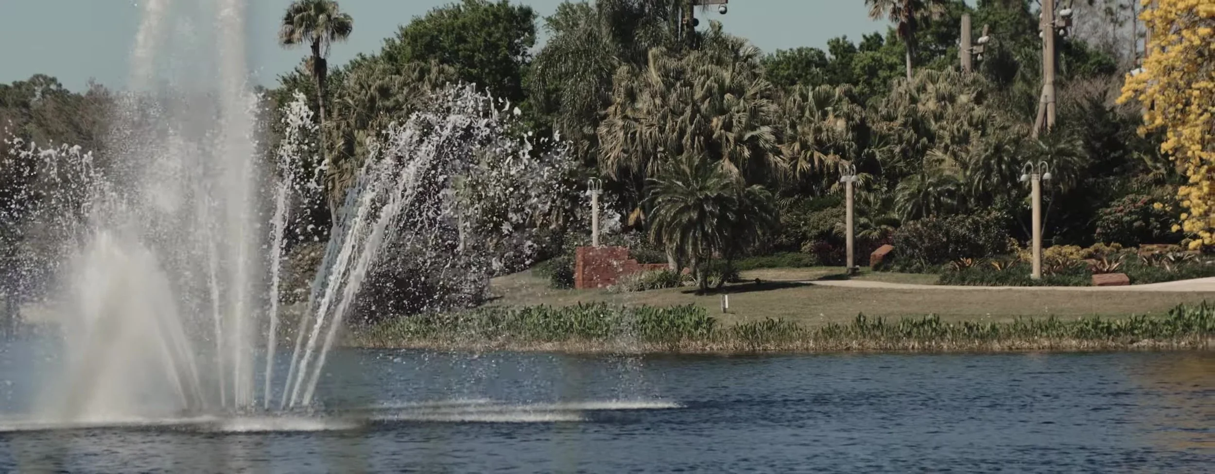 Fountain spraying in a lagoon at Walt Disney World, palms and a path on the far shore