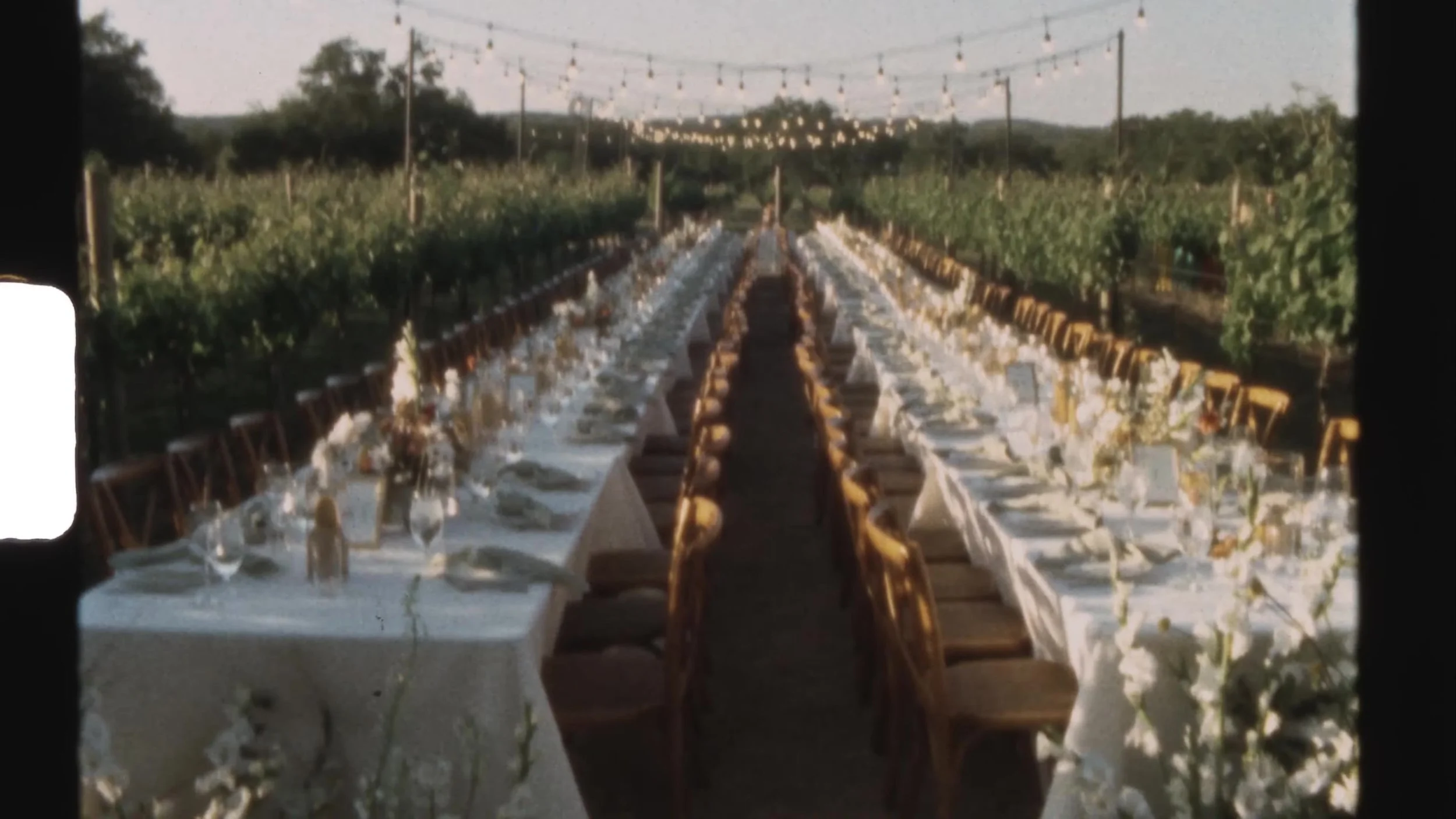 Long banquet tables set between vineyard rows under string lights at Camp Lucy Vineyards in Austin, Texas, Super 8 wedding film