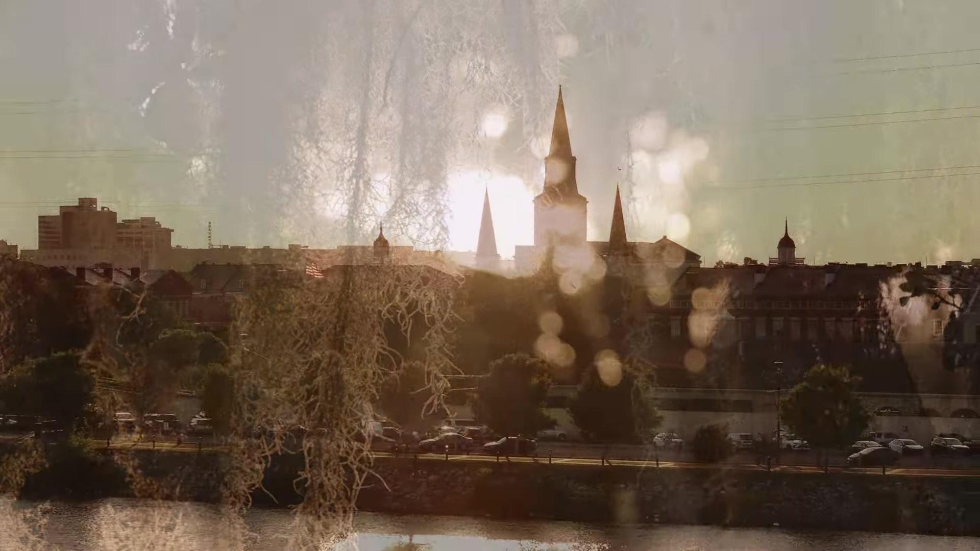 St. Louis Cathedral silhouette at sunset through Spanish moss over the New Orleans French Quarter skyline