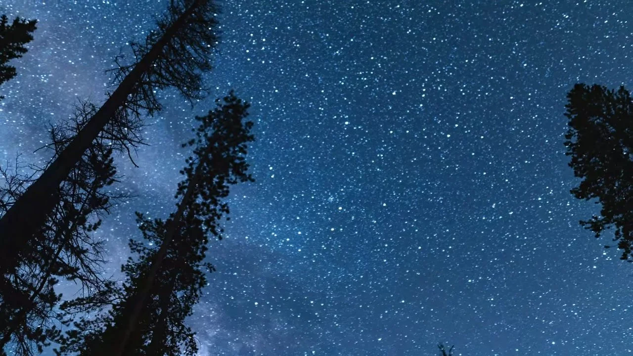 Milky Way and pine silhouettes over Piney River Ranch