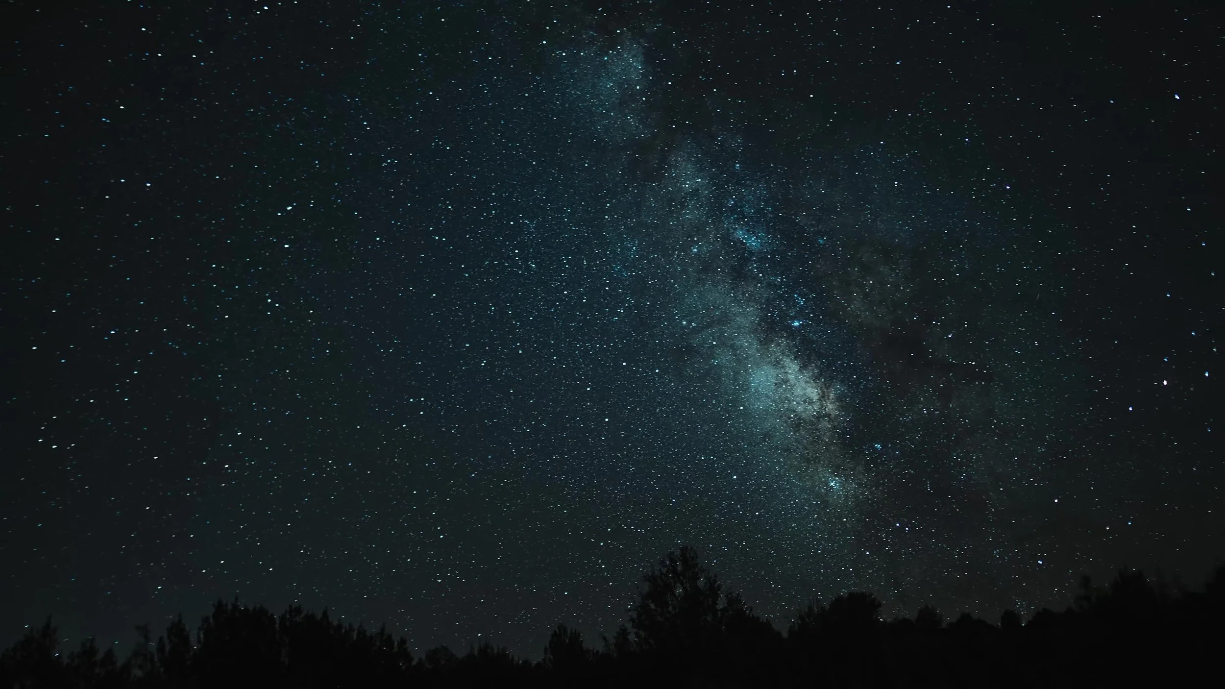 Milky Way over pines after a Breckenridge Colorado mountain wedding