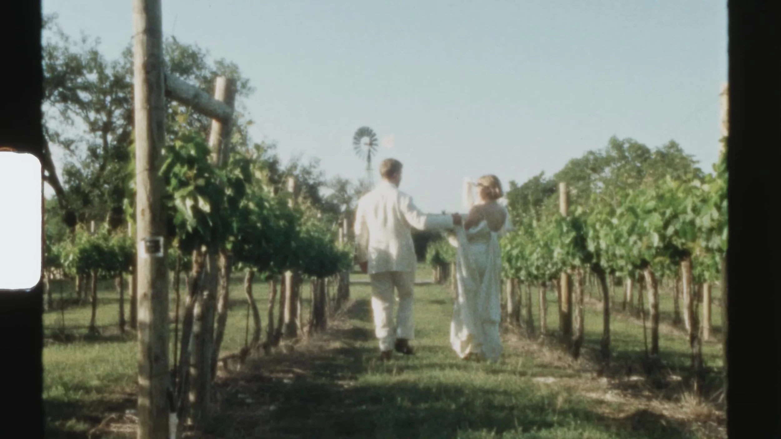 Sarah and her partner walking through grapevine rows in Super 8 light at Camp Lucy Vineyards in Austin, Texas