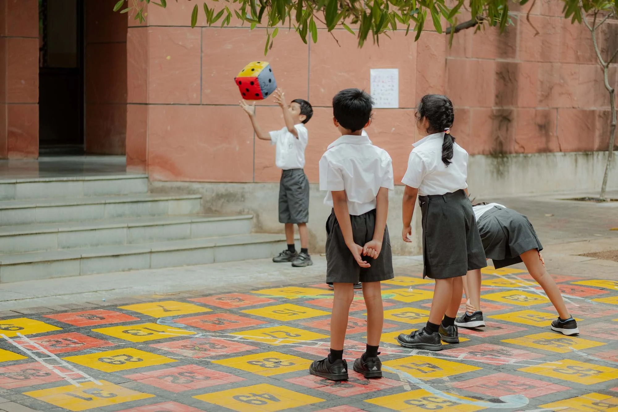 Aga Khan Education Services