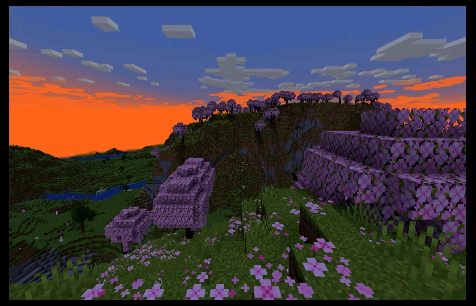 Portfolio image 22