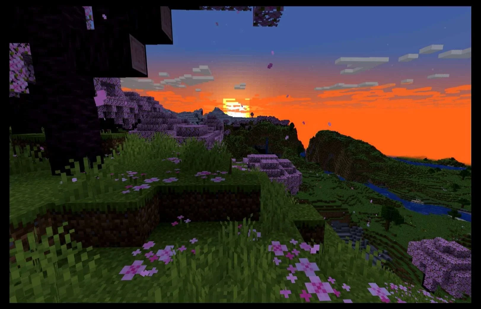 Portfolio image 144