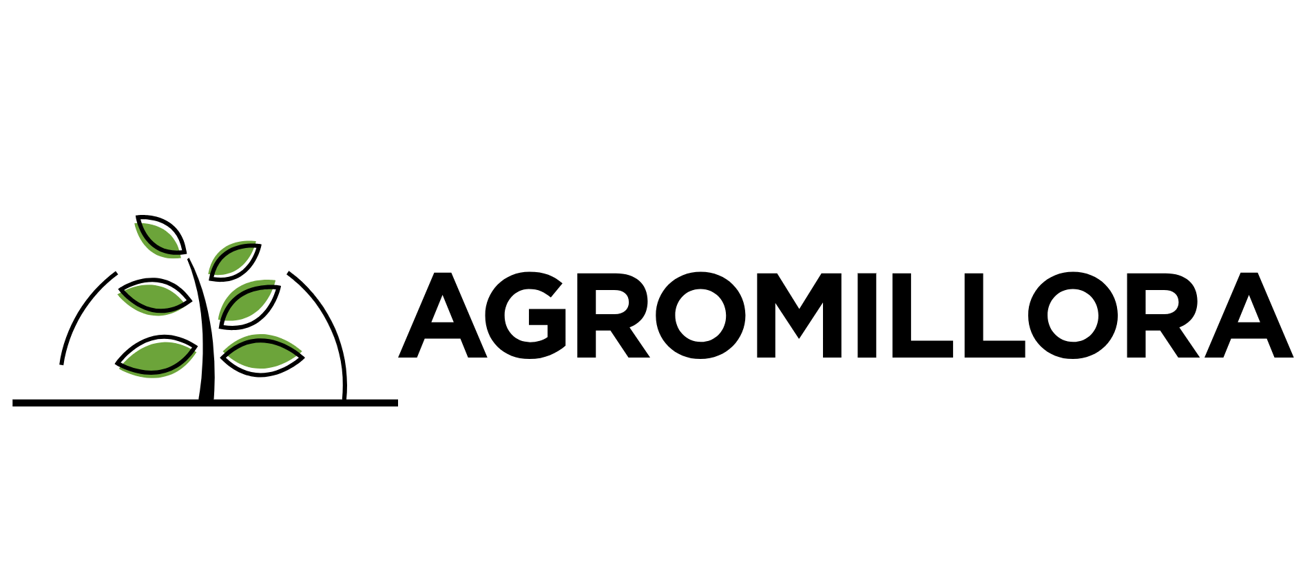 Agromillora