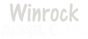Logo 11