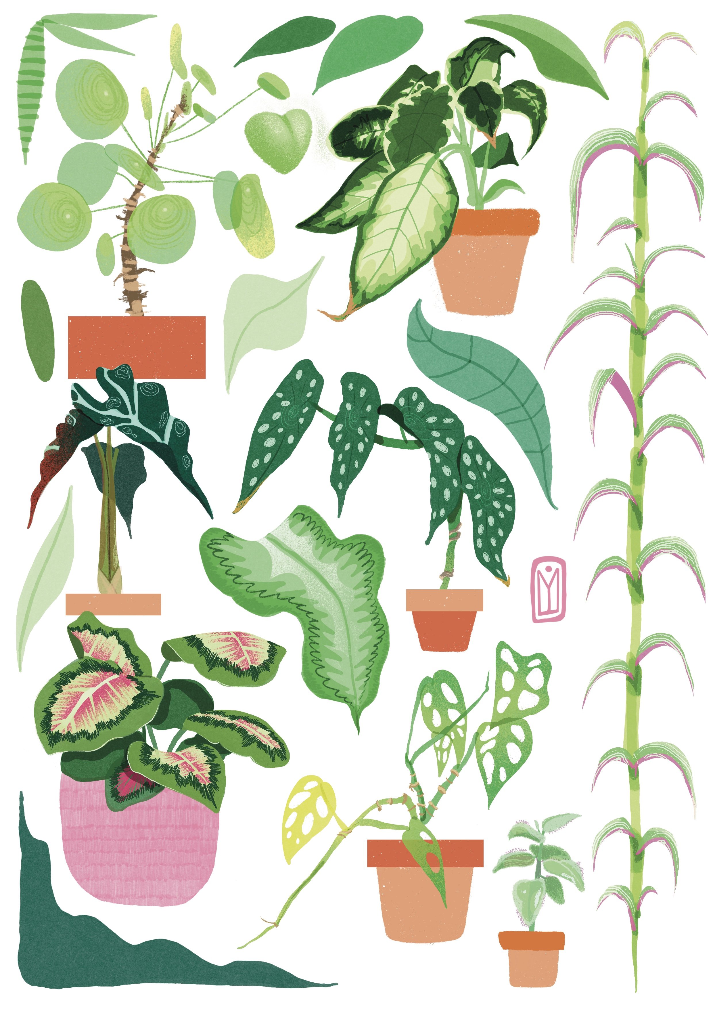 Illustration 14
