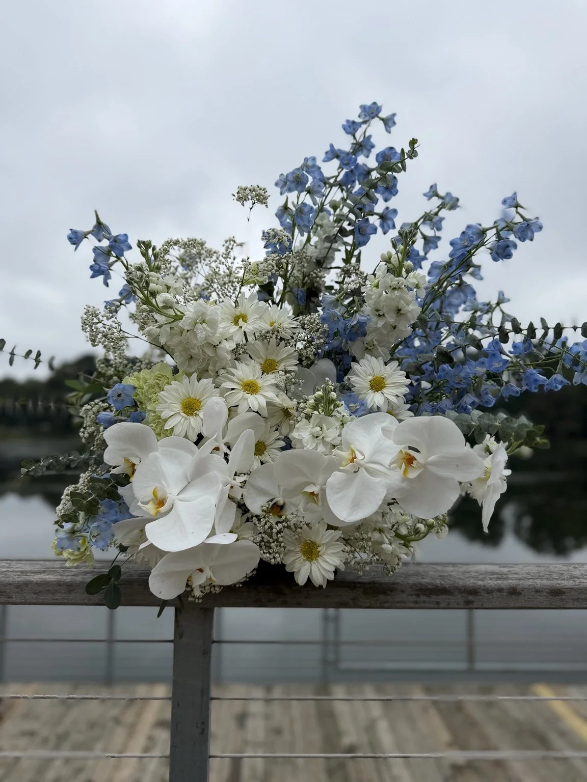 White orchids, daisies and pale blue delphinium from Becky and Micah’s wedding, resting beside Lake Ellyn.