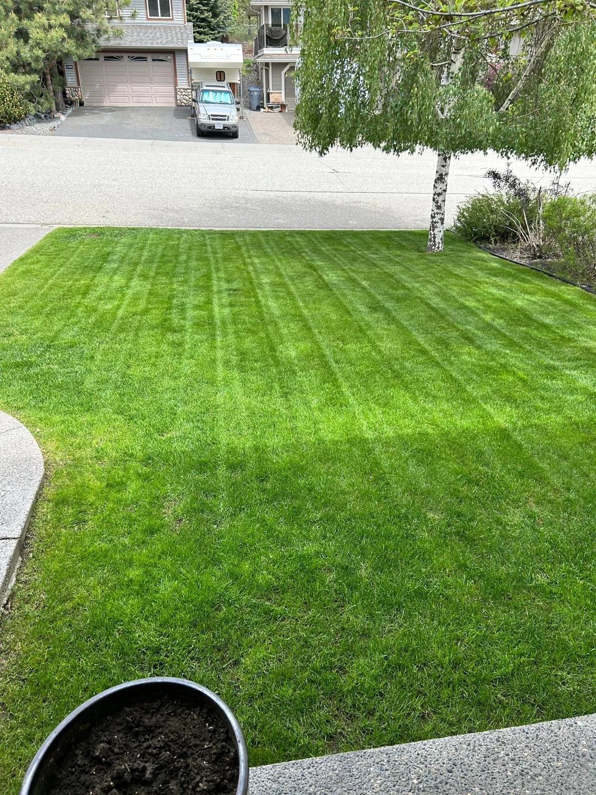 Landscaping project photo 2