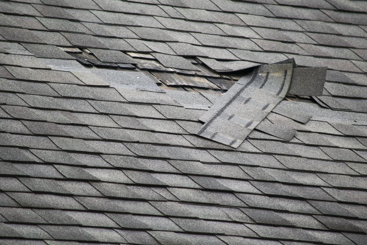 Storm damage roofing restoration Southeast Michigan