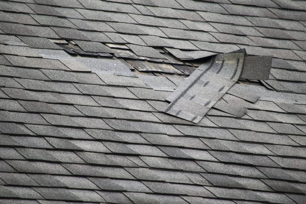 Roof damage assessment Southeast Michigan