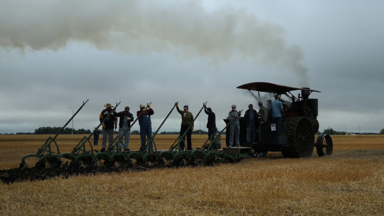 Steam tractor pulling a plough at a harvest fair in Wetaskiwin