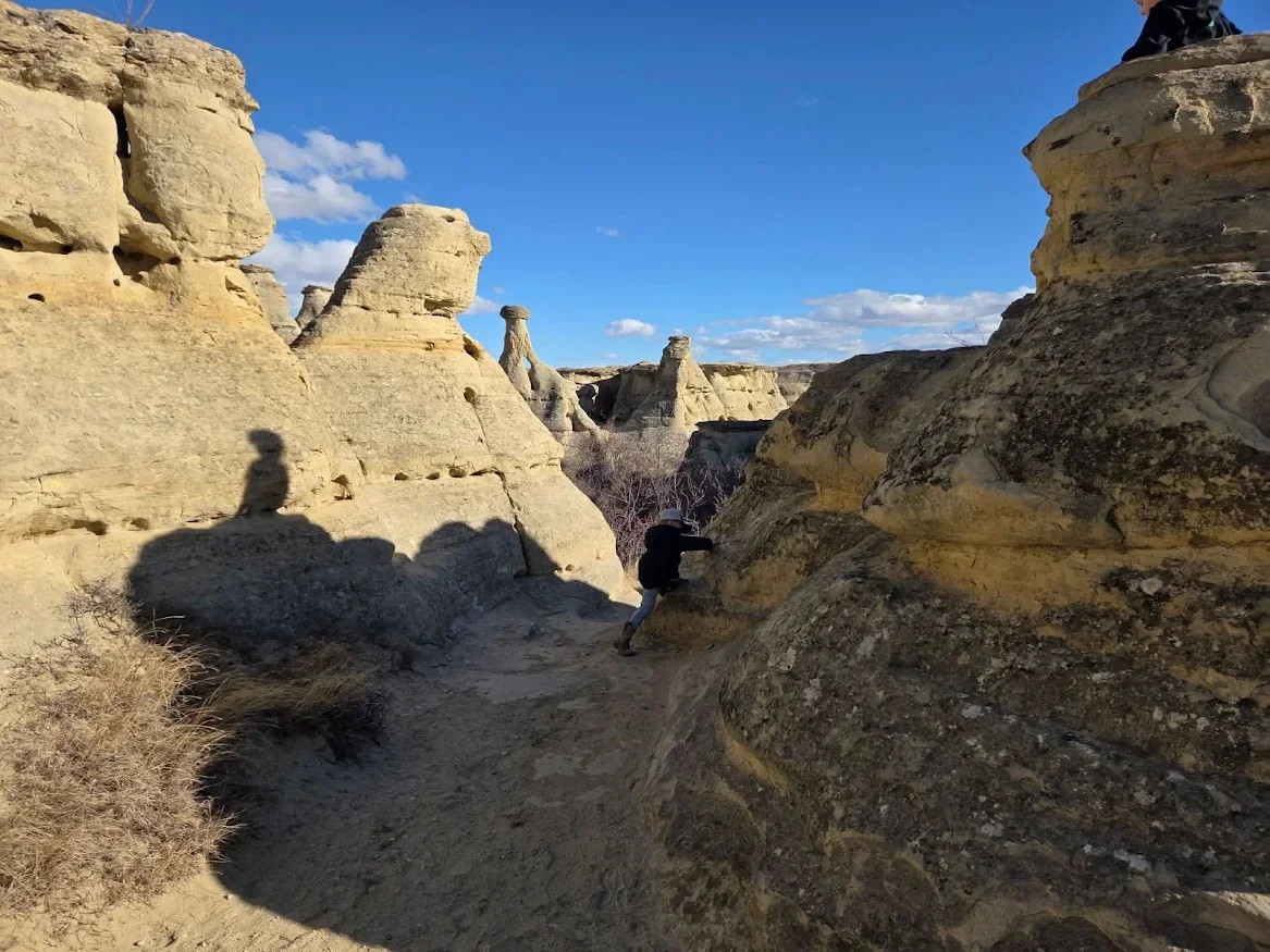 Sandstone hoodoos along a trail near Drumheller