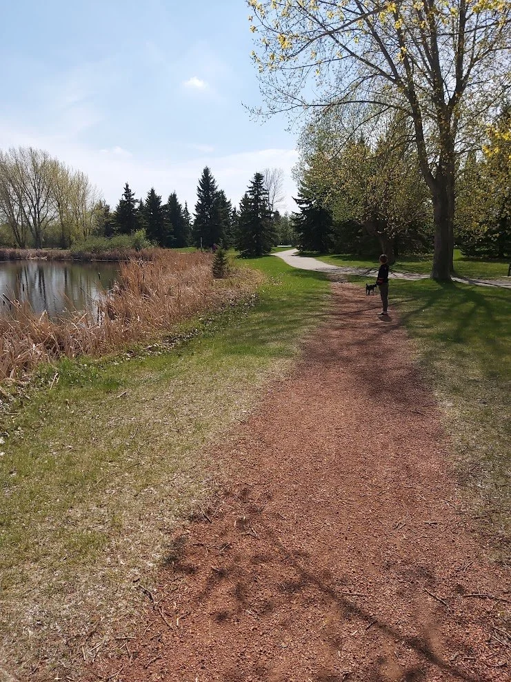 Walking path beside a pond in Fred Johns Park, Leduc