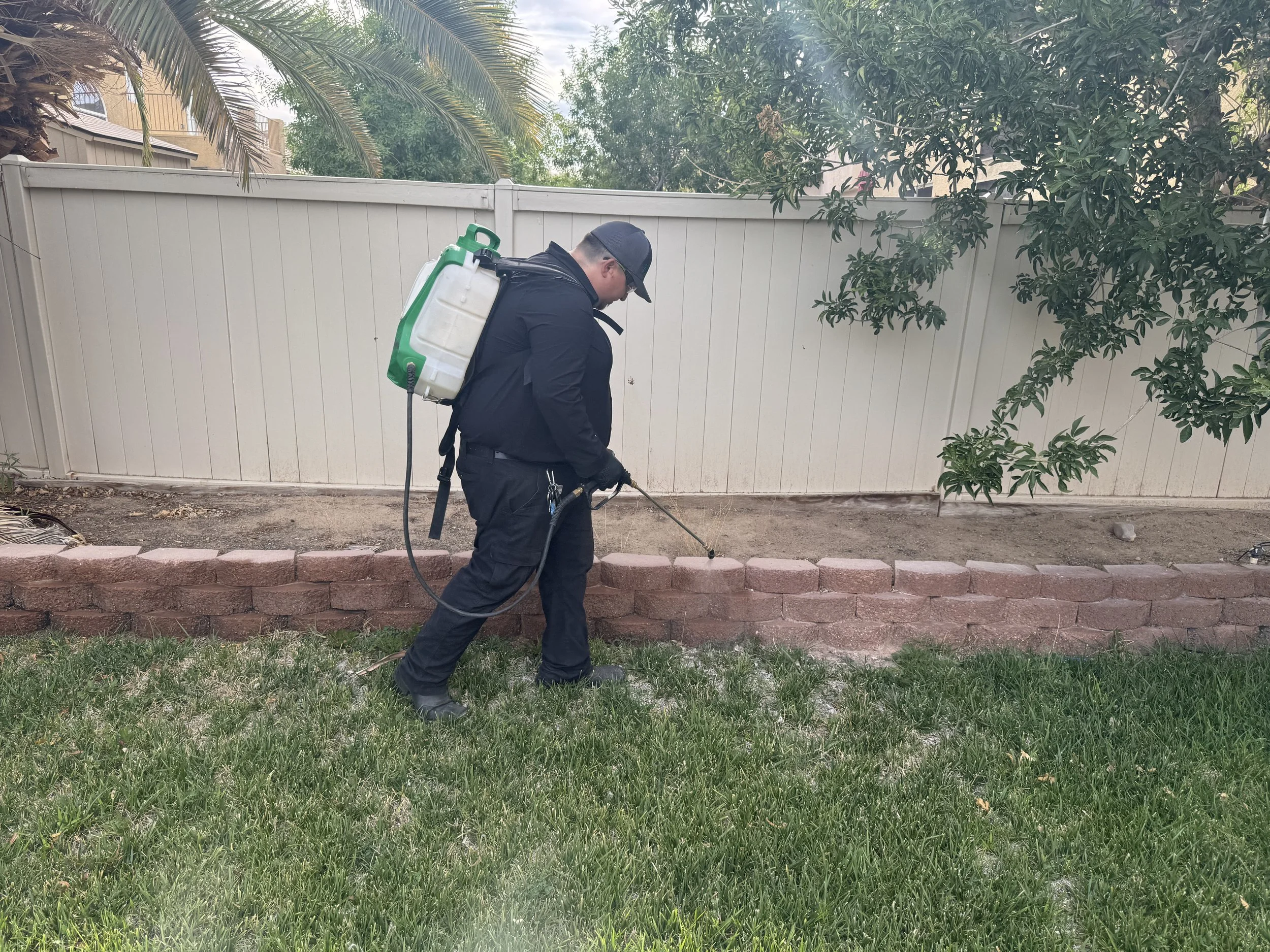 Perimeter treatment in a Sun City Summerlin yard