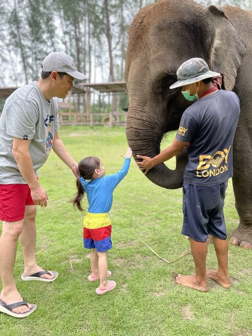Up close with the elephants at an ethical forest sanctuary