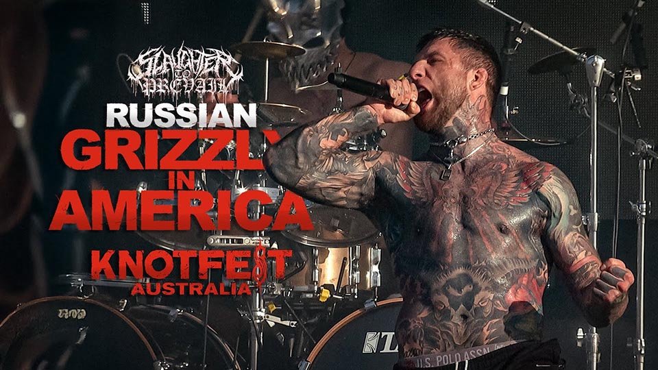 STP-RUSSIAN-GRIZZLY-IN-AMERICA-LIVE