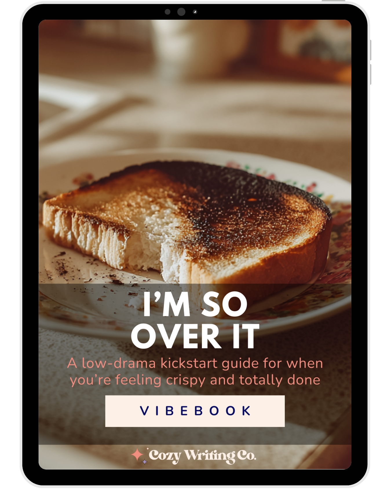 I'm So Over It energy audit Vibebook