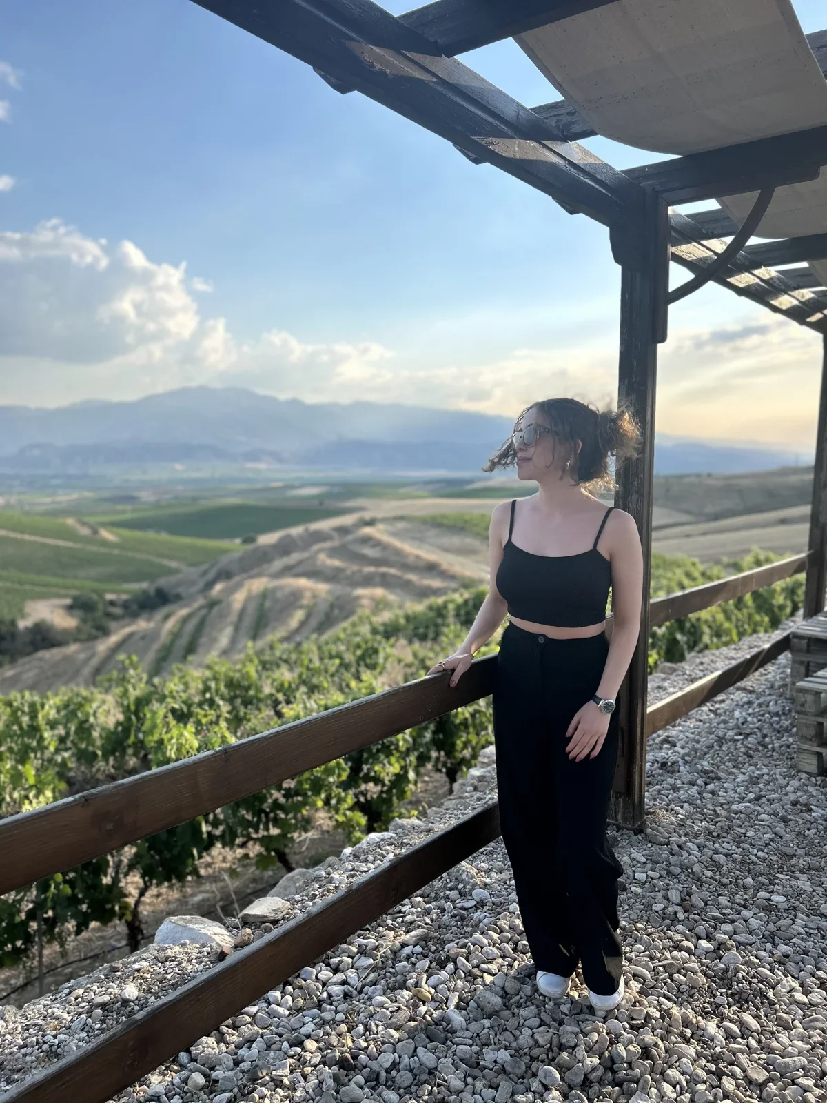 Vineyard