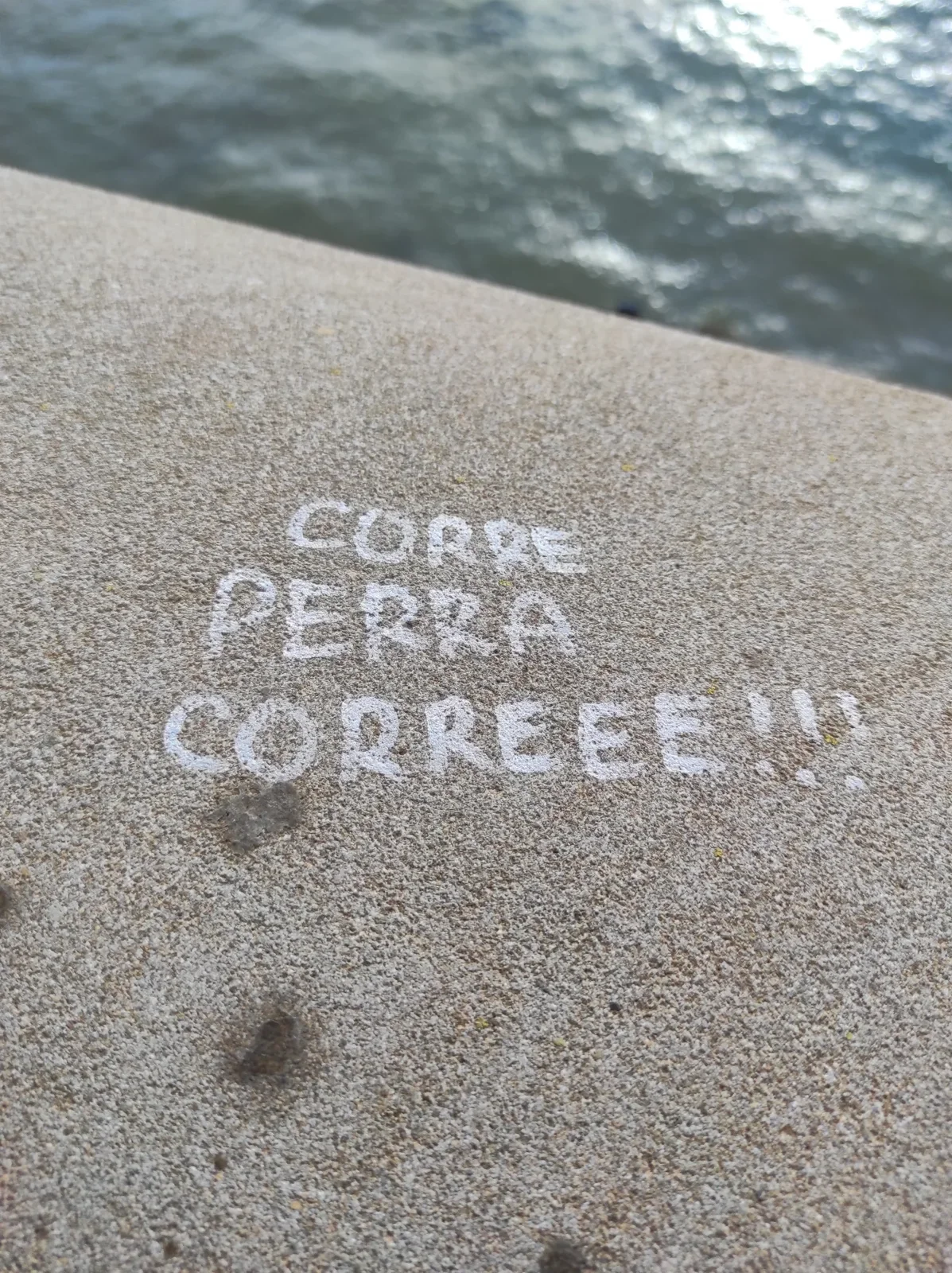 Corre Perra Correeee