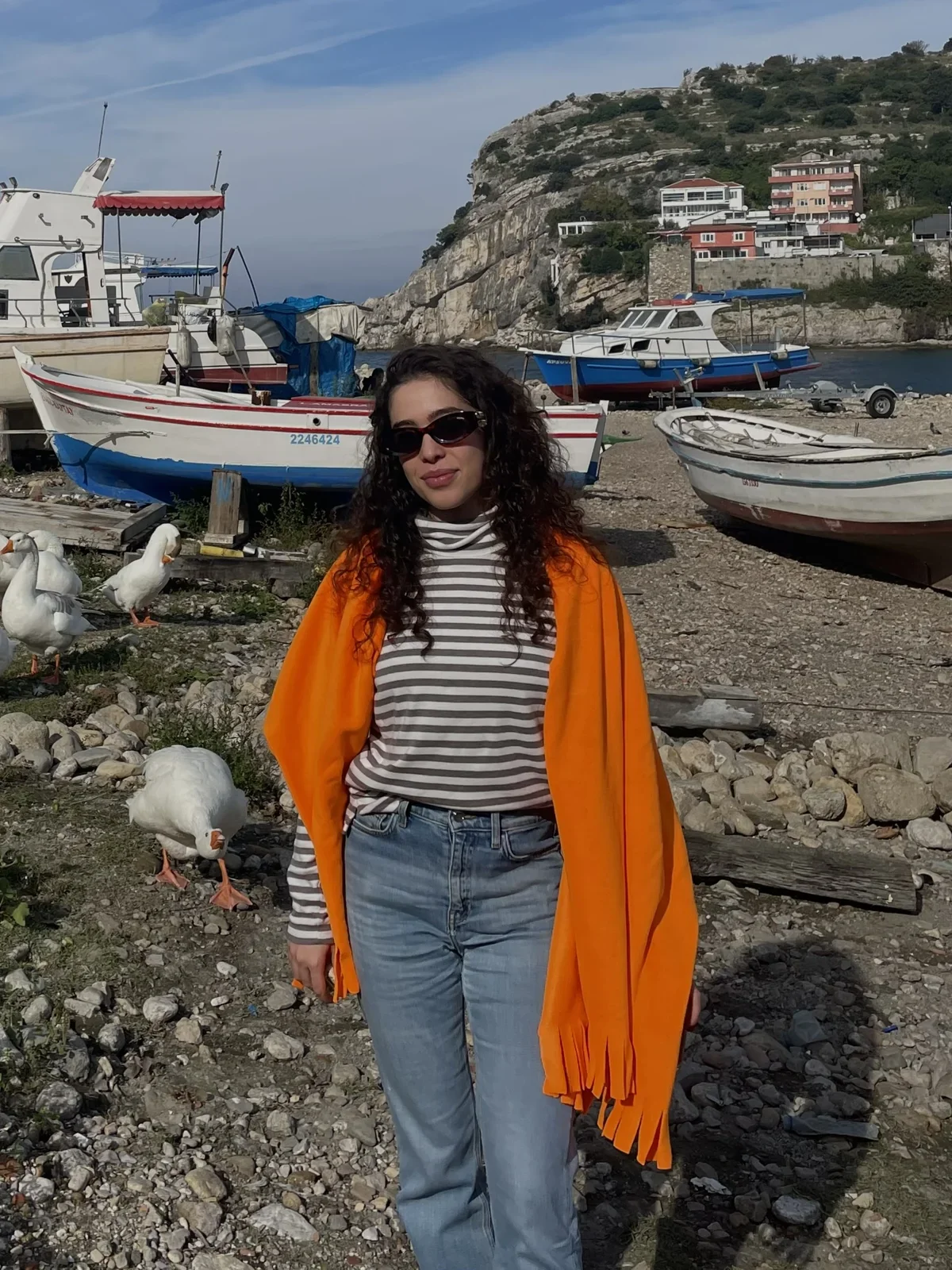 Attack of Ducks