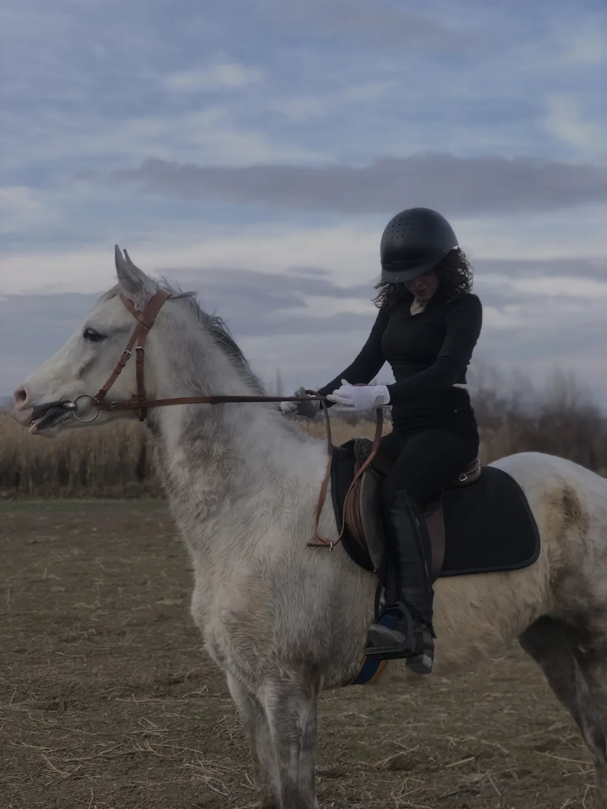 White Horse