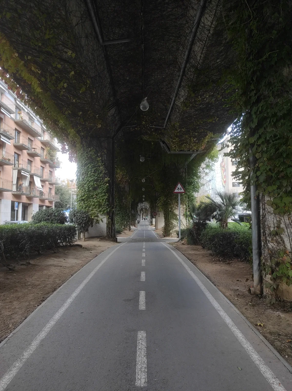 Road to Zion