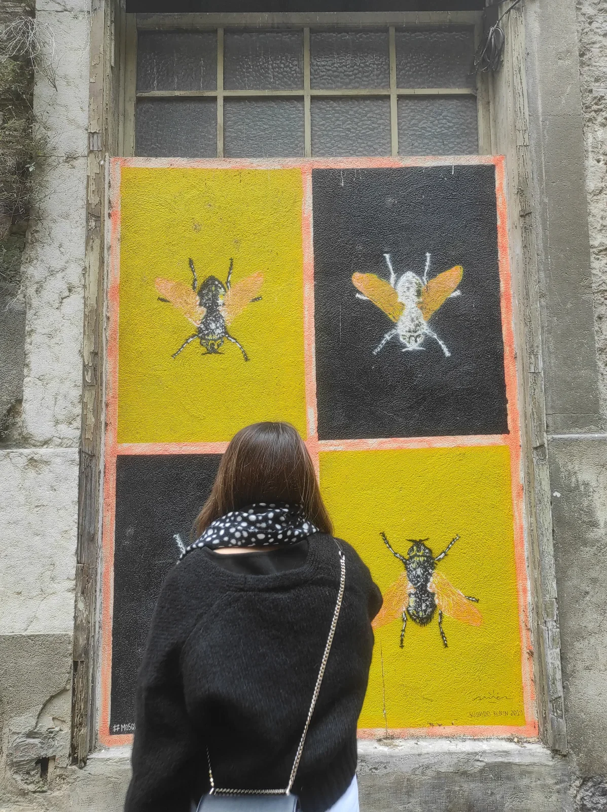 Mosquits de Girona