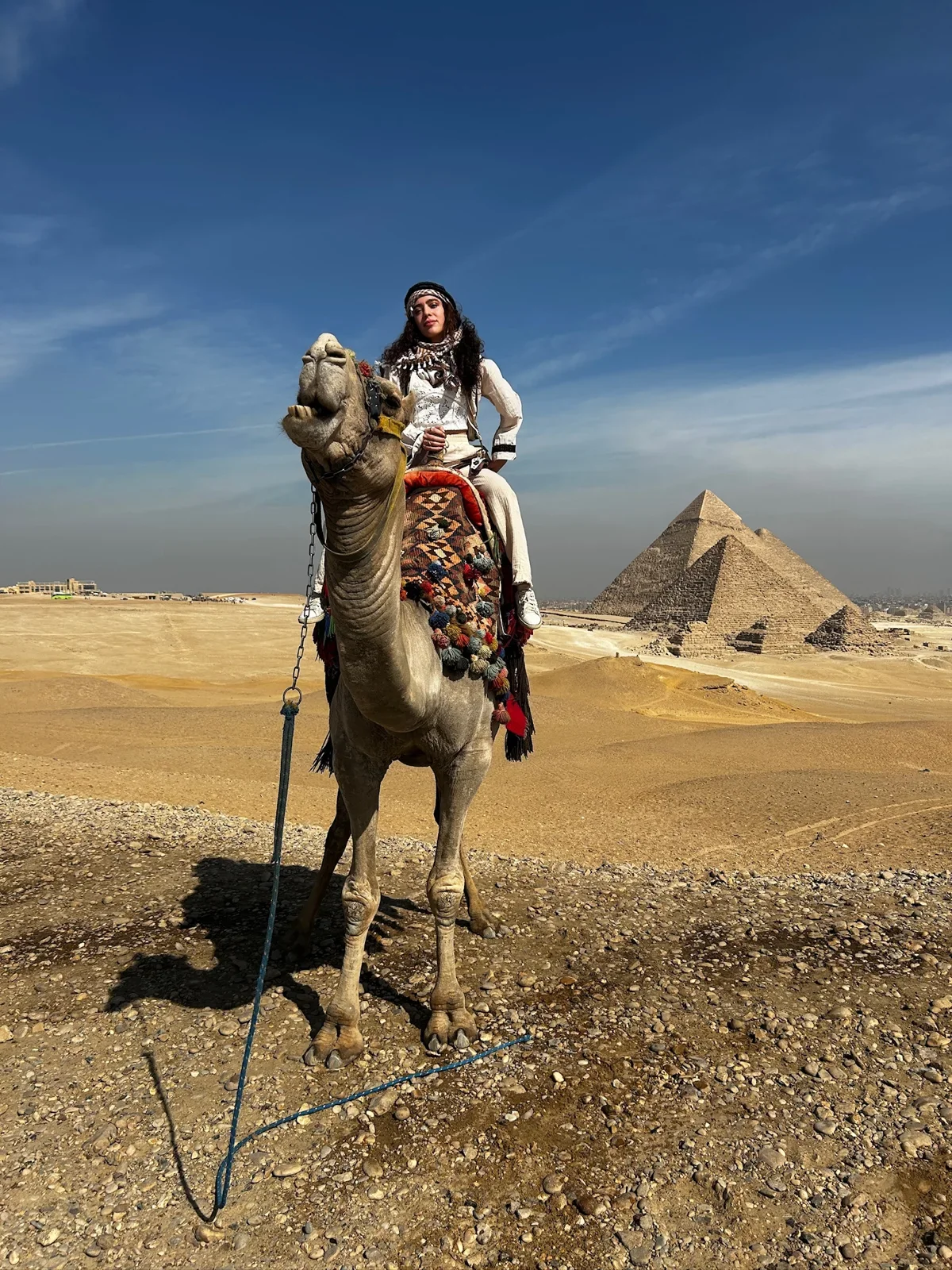 Camel