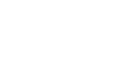 The Headstrong Project logo
