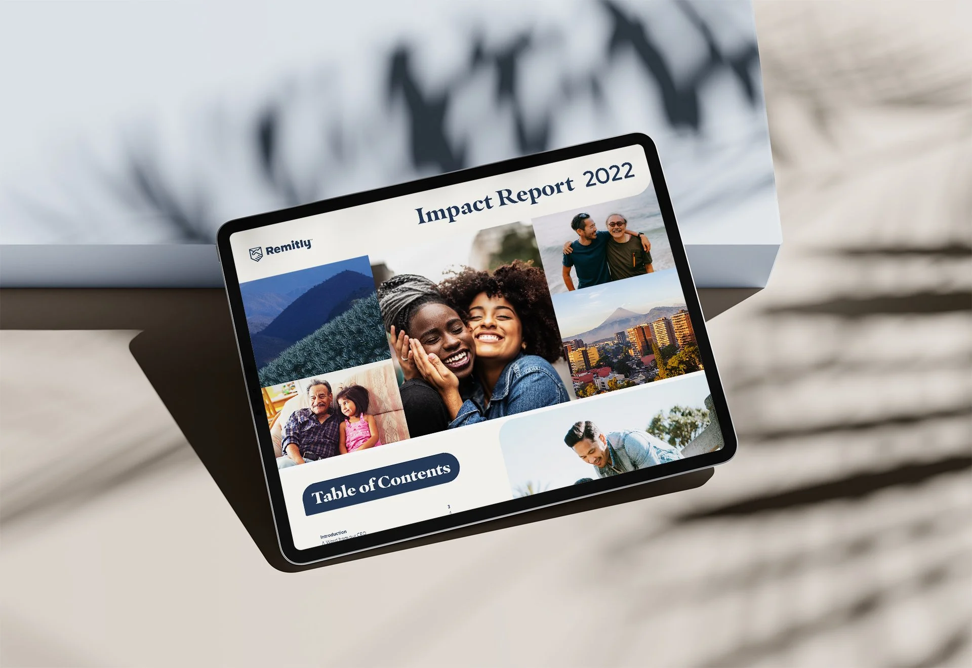 Remitly project cover