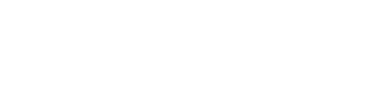 Awaken to Jesus