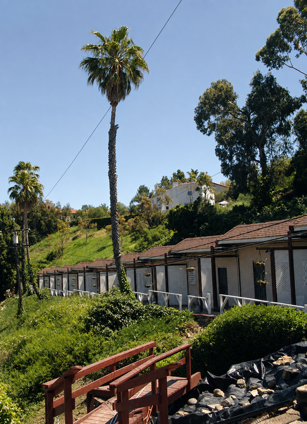 Historical exterior view of the Malibu Riviera Motel on Pacific Coast Highway.