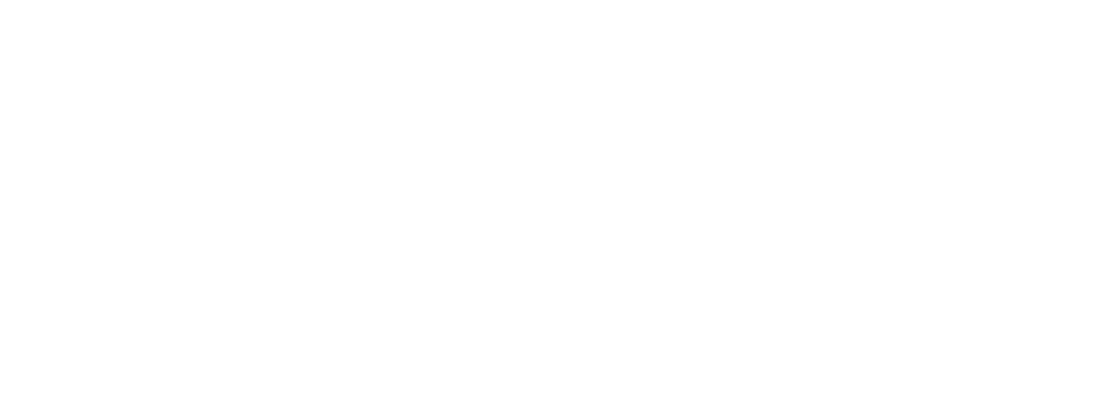 Overlay Logo