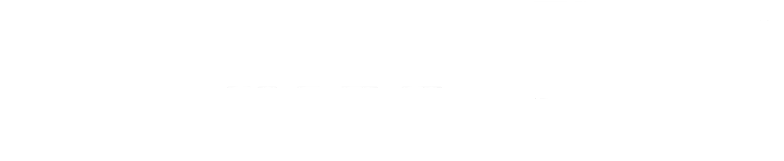 Overlay Logo